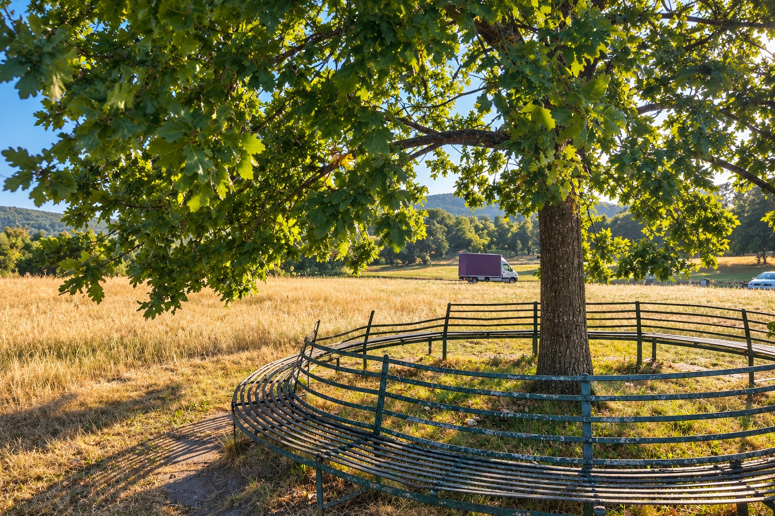 A delivery van in a sunlit country field behind an oak tree